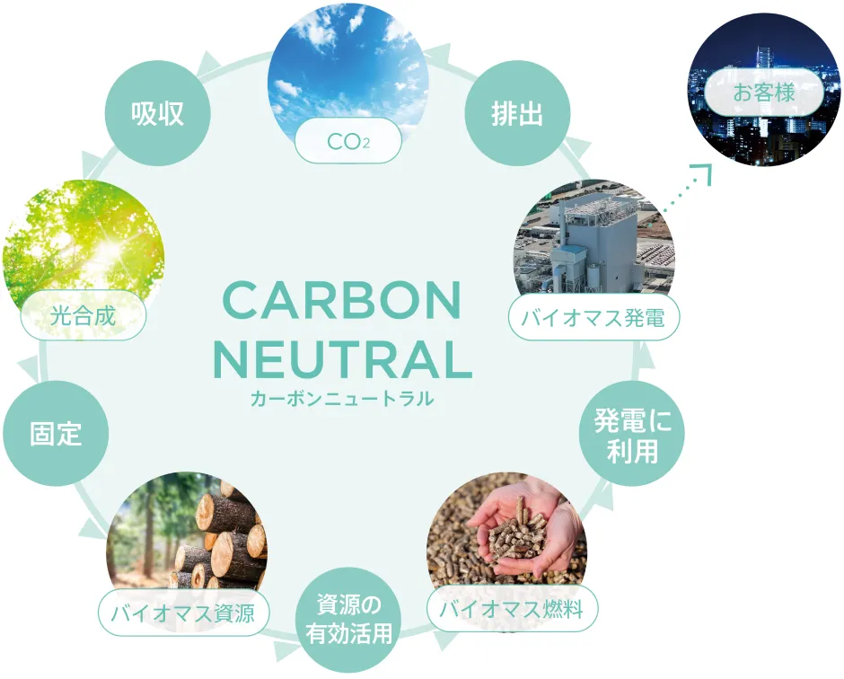 CARBON NEUTRAL